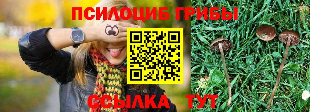Псилоцибиновые грибы Magic Shrooms Лосино-Петровский