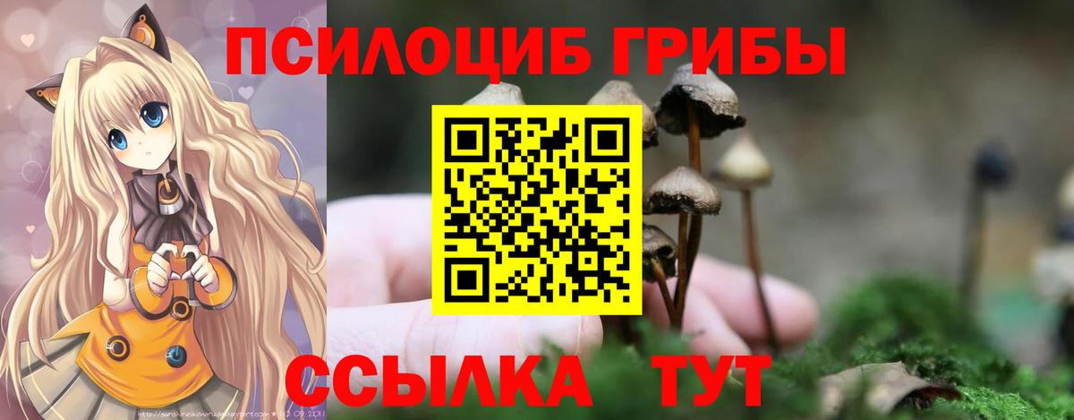 Лосино-Петровский  Галлюциногенные грибы ЛСД  Вход с VPN  Псилоцибиновые грибы Psilocybine cubensis 
